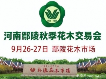 9月26日河南鄢陵第十屆秋季花木交易會舉辦