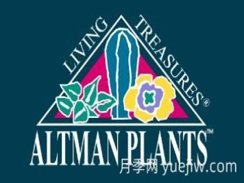 月季育種家：美國奧特曼園藝(Altman Plants)