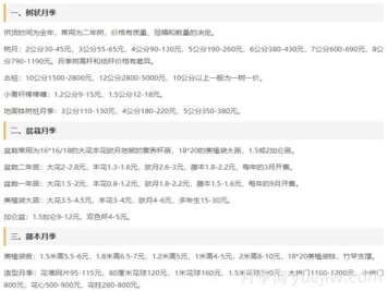 河南南陽月季批發(fā)價格_基地圖片_月季產(chǎn)地報價表