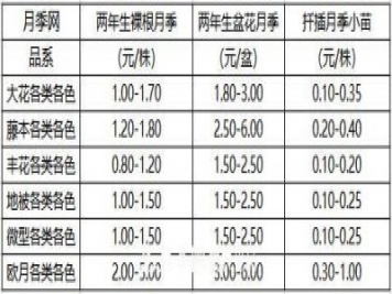 南陽(yáng)造型月季價(jià)格表