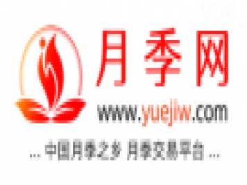 中國月季網(wǎng)，月季品種介紹和養(yǎng)護(hù)知識分享專業(yè)網(wǎng)站