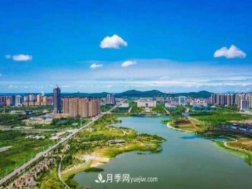 淮南市花、市樹是什么？是月季嗎？