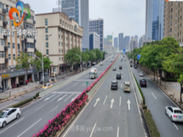 武漢市首條全月季景觀帶 為“五一”小長假增色添彩