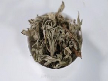 南陽艾草產(chǎn)業(yè)蓬勃發(fā)展的背后原因是為什么？