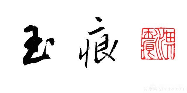 月季大藤本和小藤本都有哪些品種？栽種方式有沒(méi)有區(qū)別？(圖4)