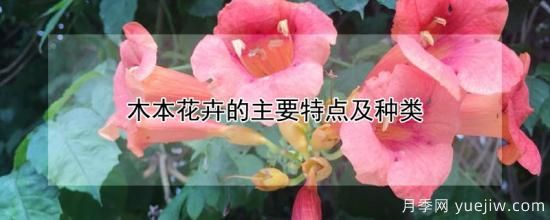 木本花卉的主要特點(diǎn)及種類(圖1)