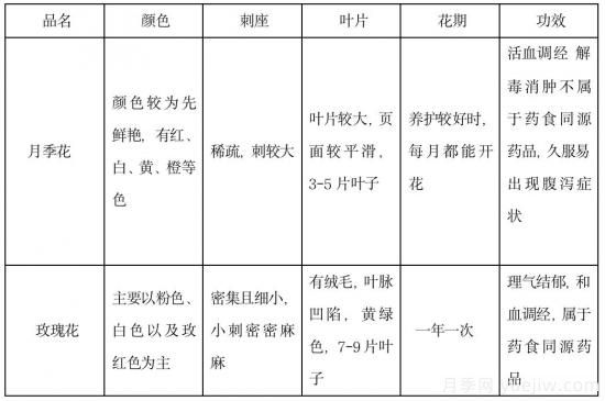 月季和玫瑰如何區(qū)分？圖解科普很詳細(xì)(圖14)